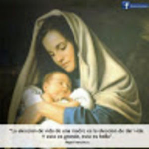 Meet your Posher, Daisy